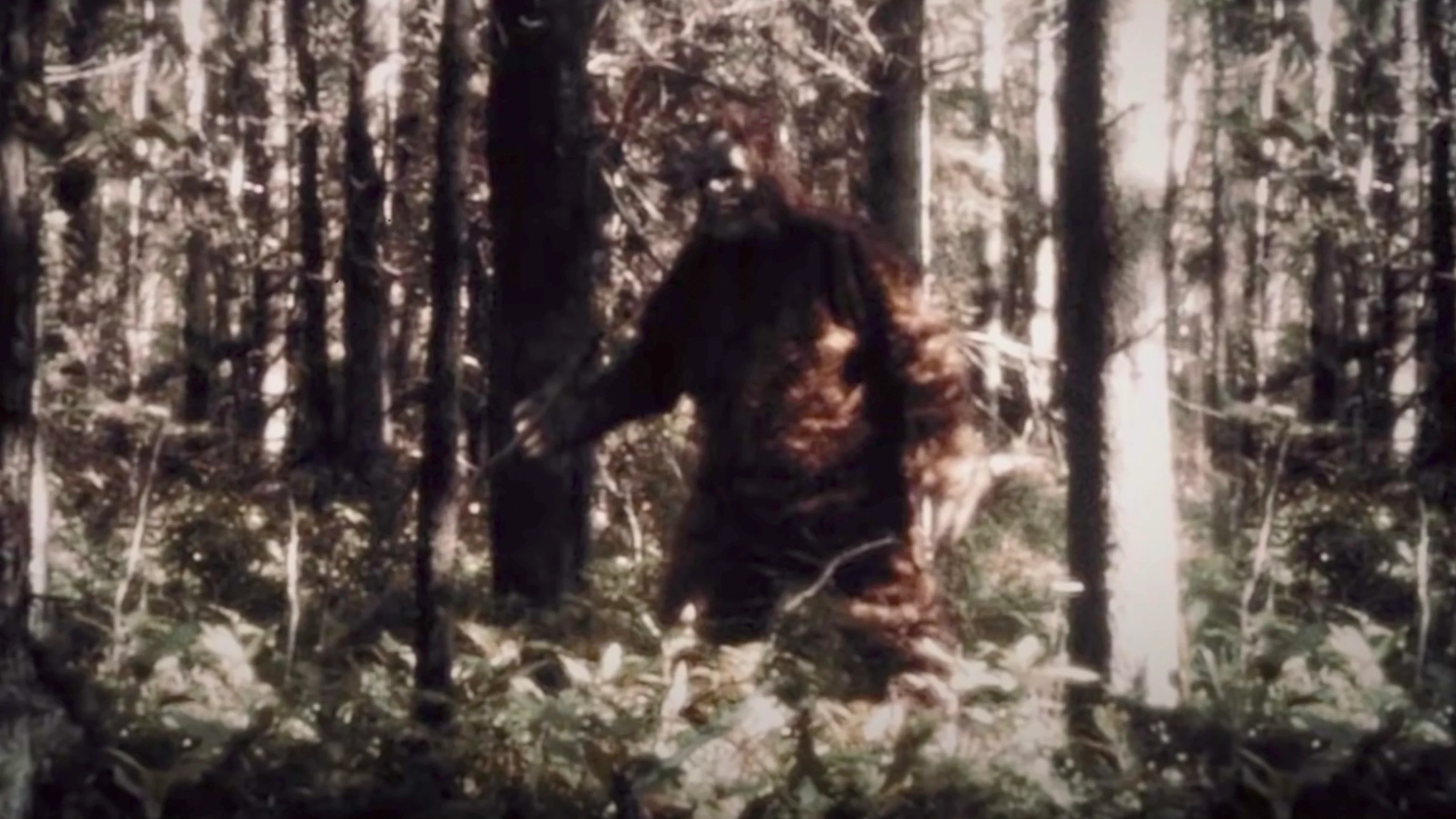 Is Bigfoot a serial killer? Find out in Hulu's newest documentary