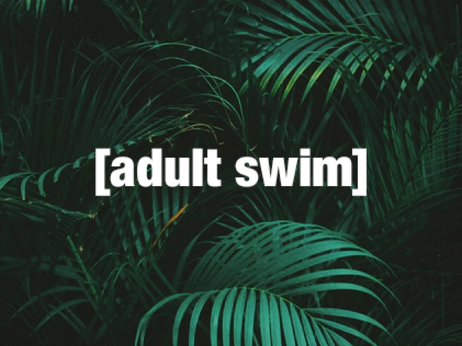 Adult Swim shows have a reputation for being geared towards a more adult audience. Watch these hilarious animations and get ready to laugh.