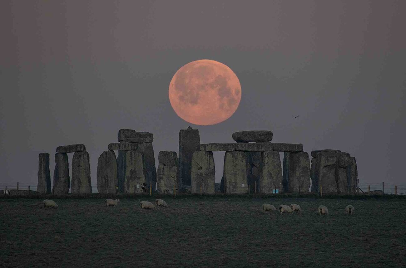 We've had our first supermoon of 2021, everyone! Stare in awe at some of the gorgeous shots of last night's pink supermoon.