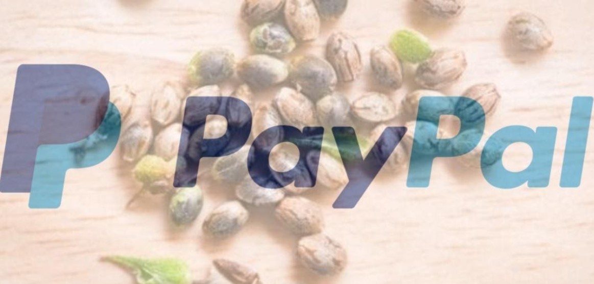 Seed banks are a huge platform. Discover which major seed banks accept PayPal in 2021.