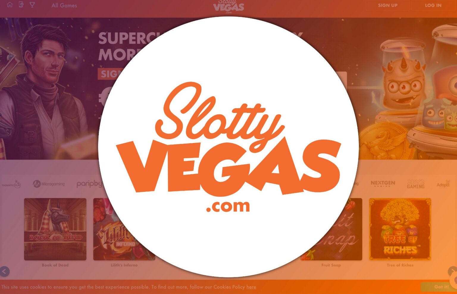 Slot players rejoice! Here's a breakdown of some of the best online slots that you should check out in the Netherlands.