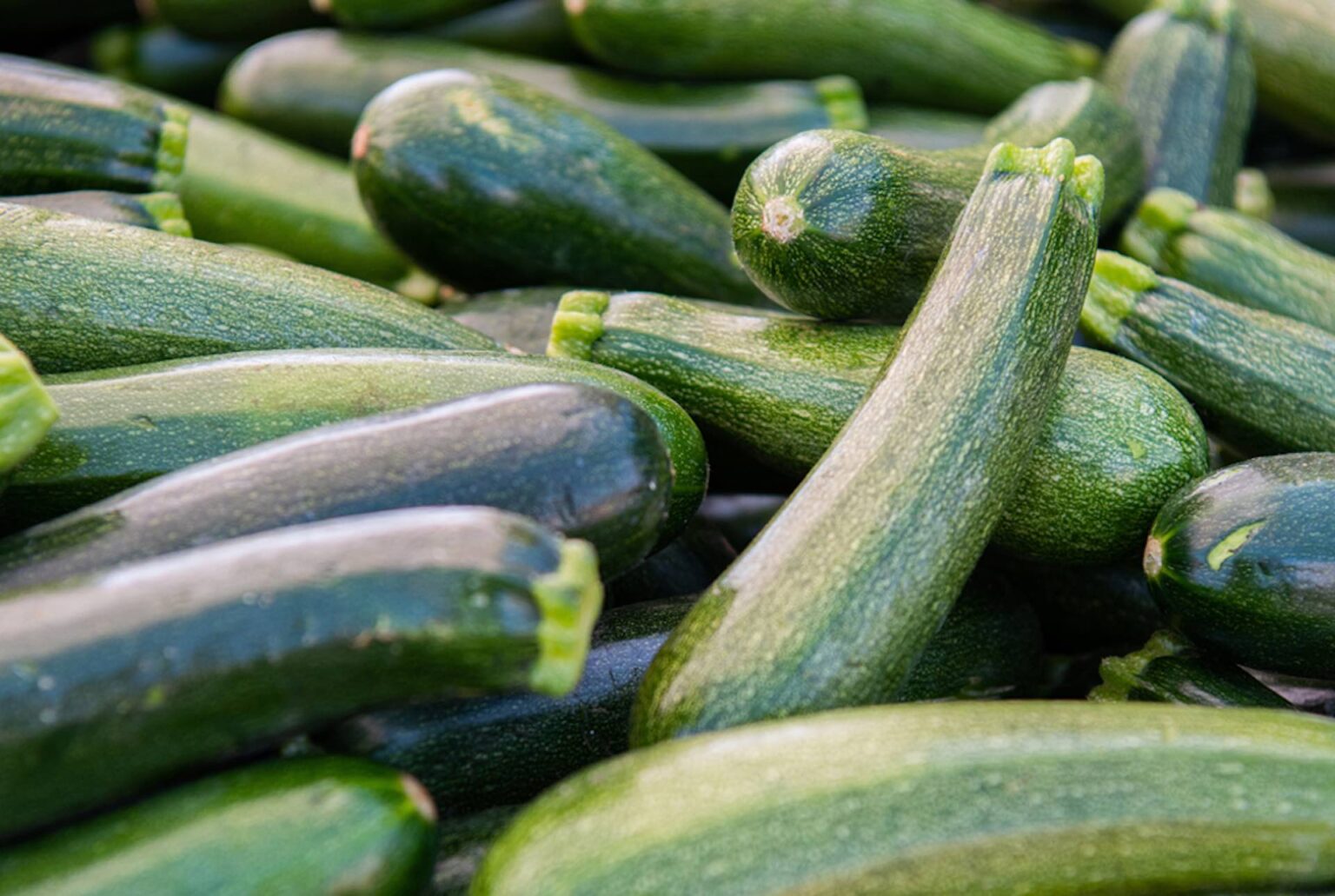 Swimsuit season is right around the corner! If you want to watch your carb intake, cook up these delicious zucchini and squash recipes tonight!