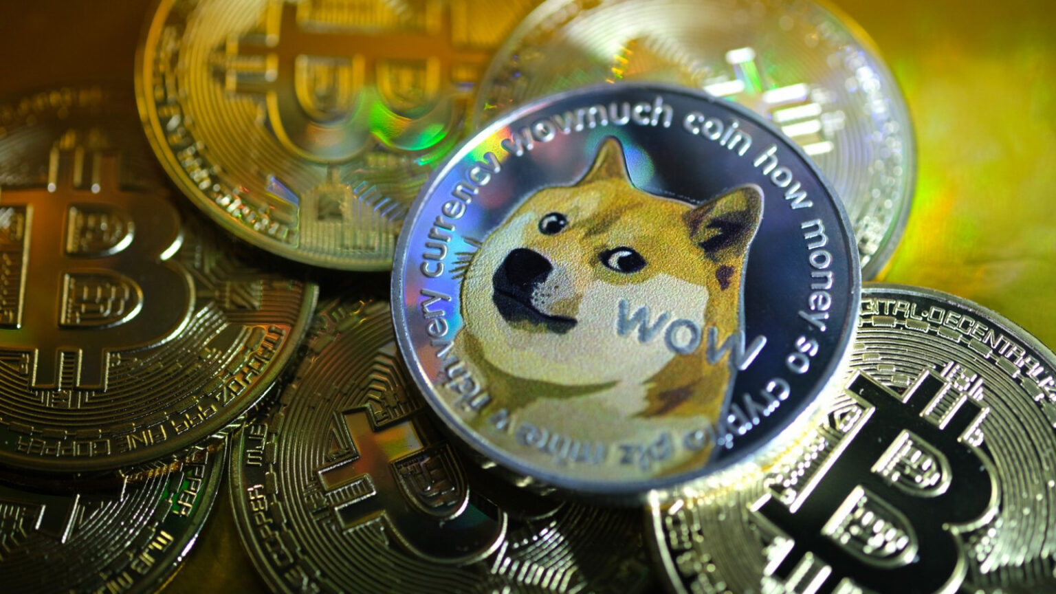 Why is dogecoin stock skyrocketing? Peer inside Elon Musk's stated promotions of the cryptocurrency, and discover whether it will go to the moon.