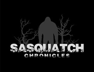 If you’re looking for bigfoot and haven’t visited the Sasquatch Chronicles, you’re really missing out. You have to see their craziest stories here!