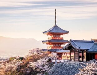 With Japan’s increasing popularity, many people are planning their Tokyo travel itinerary. Here are all the scenic cities you should visit.