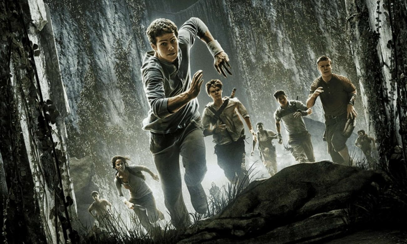 What do you think of 'The Maze Runner' series? 