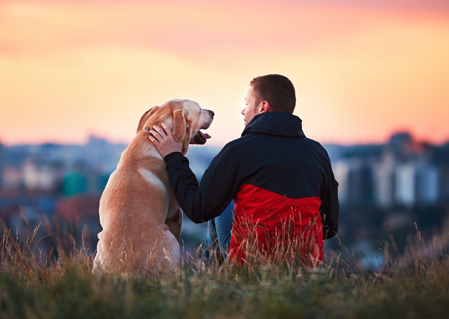 Being a first-time pet owner can be daunting. Find out how to perfect being a pet owner with these crucial tips.