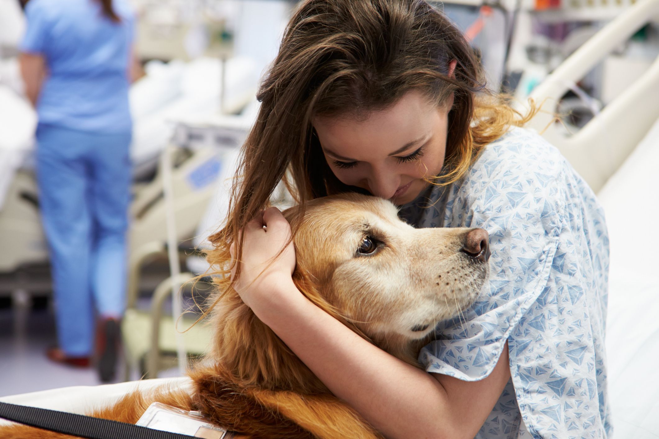 In order for a therapy dog to be certified, they must be trained to be friendly, patient, confident, gentle, and calm. Here's how.