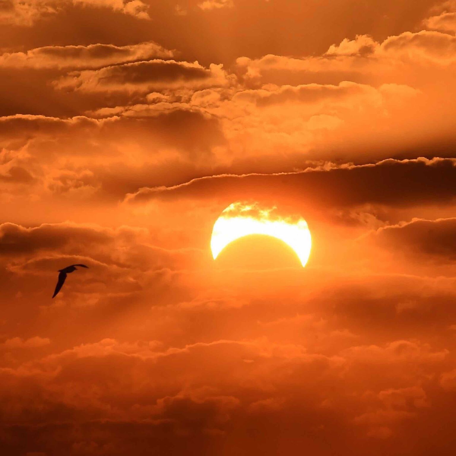 Apparently the Moon liked it, so they put a ring on it! Grab your telescope and dive into these stunning photos of the Ring of Fire solar eclipse. 
