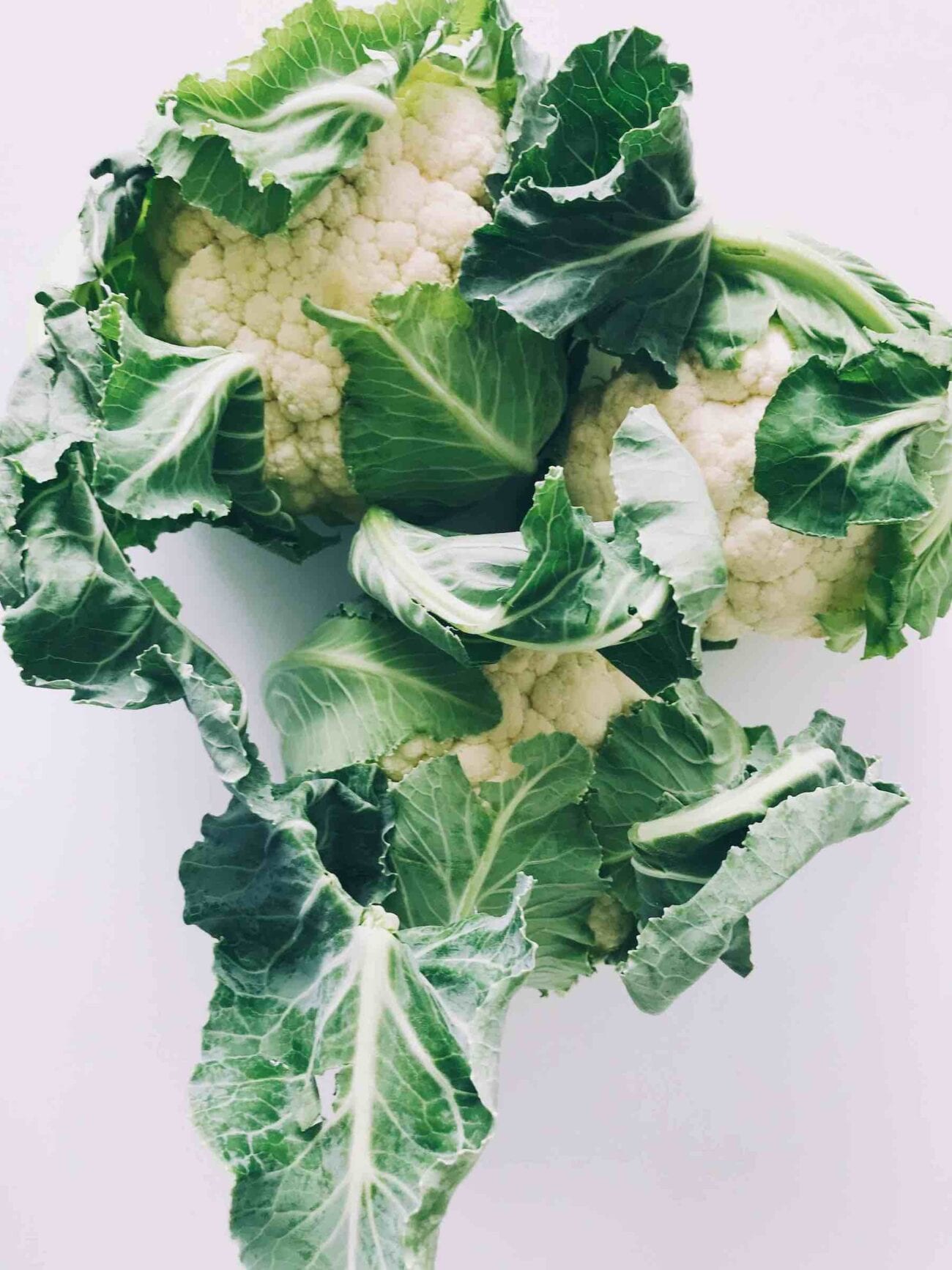 Cauliflower rice is a healthy yet tasty substitute for real rice. Check out all our favorite riced cauliflower recipes here for some yummy goodness.