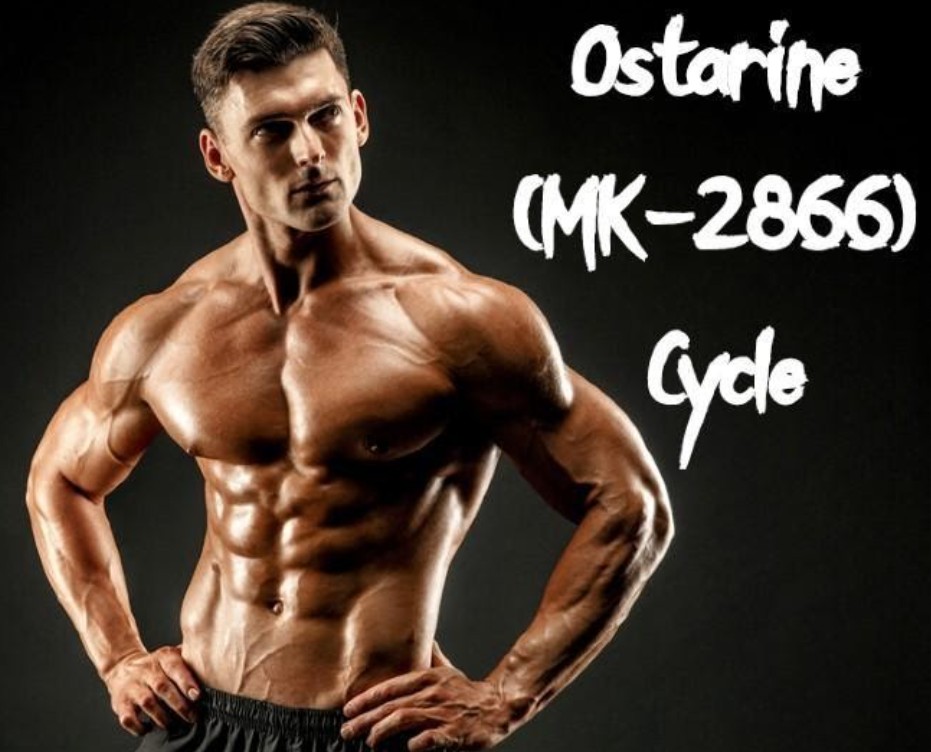 Ostarine is a selective androgen receptor modulator that is marketed by the name EnoboSARM or MK-2866. Check out our reviews here.
