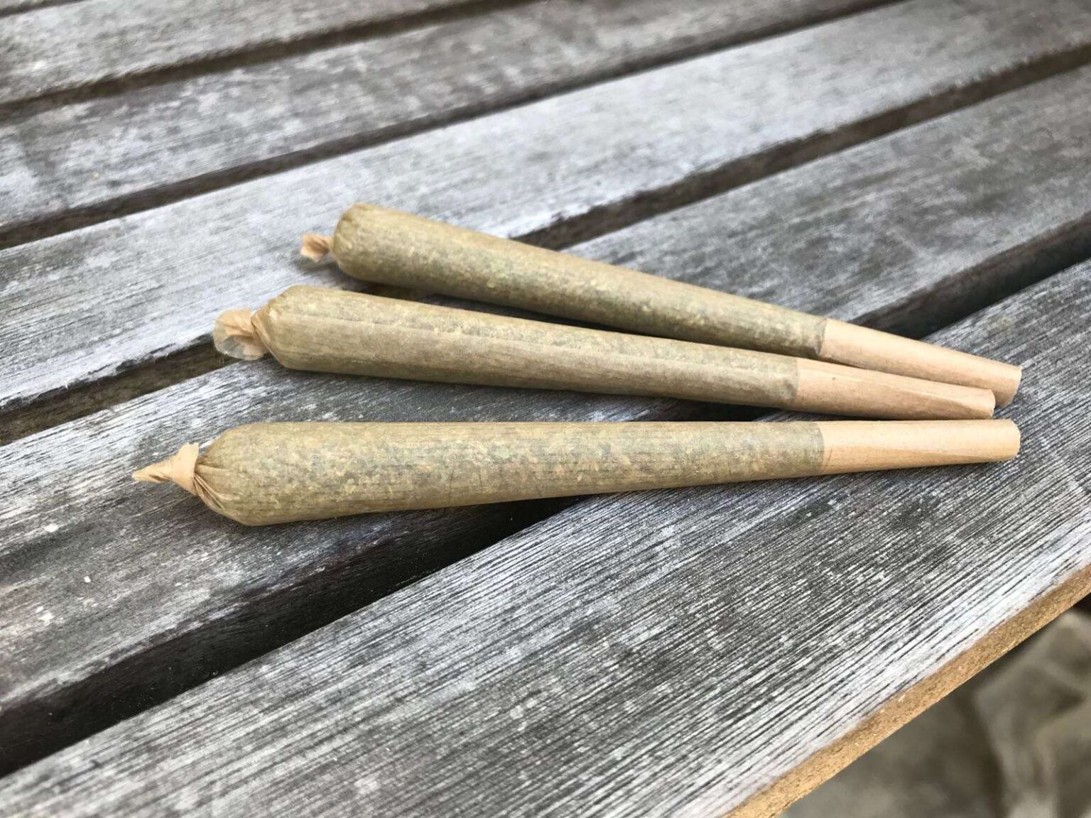 Pre-rolled joints are more popular than ever. Find out why they are in such high demand and what makes them so easy to use.