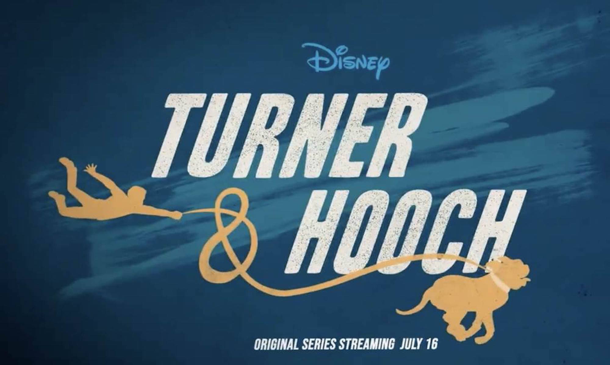 What happened to the dog from 'Turner and Hooch'? Watch this new ...