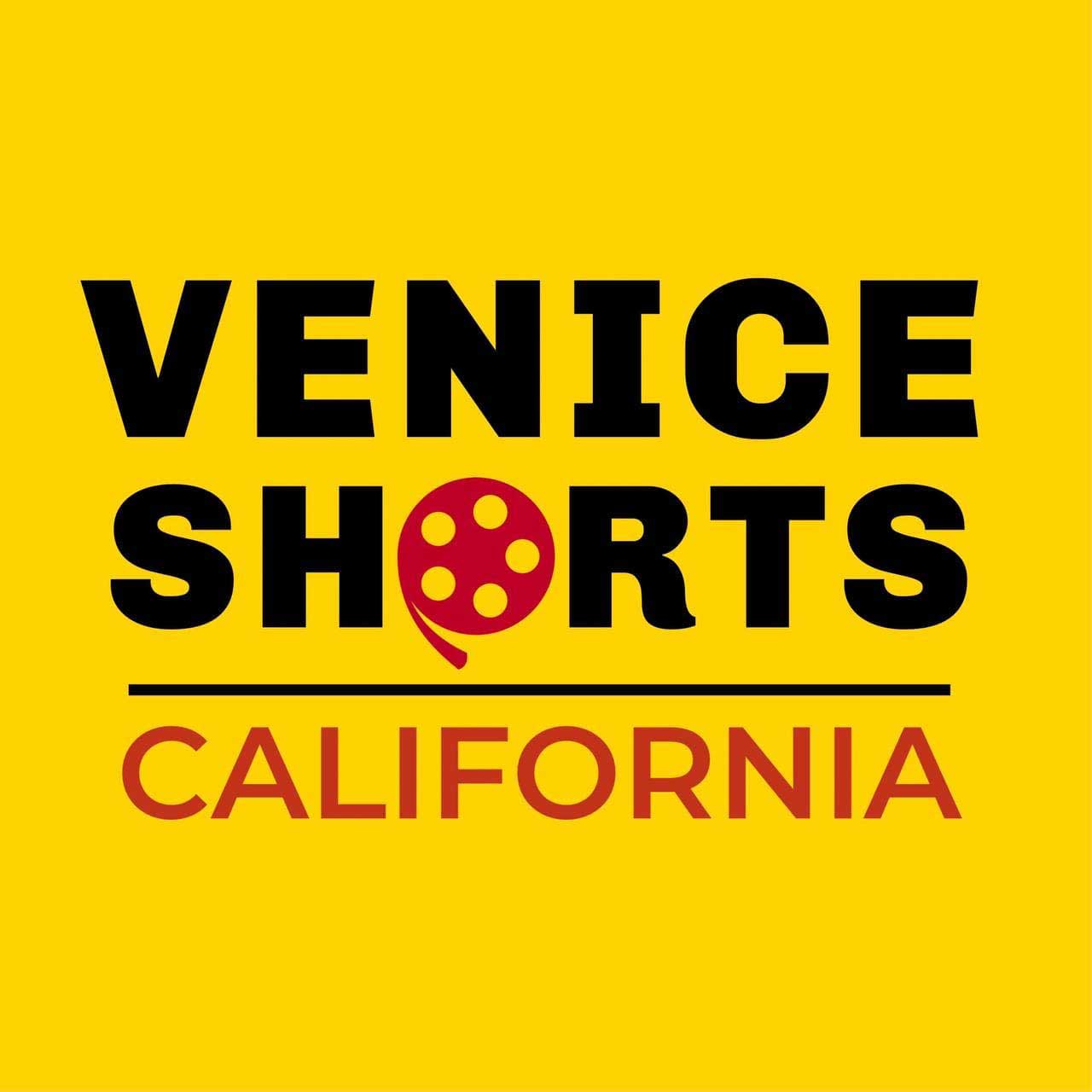 The winners of this month's Venice Shorts competition have finally been revealed. Take a peek at the top talent in the competition.
