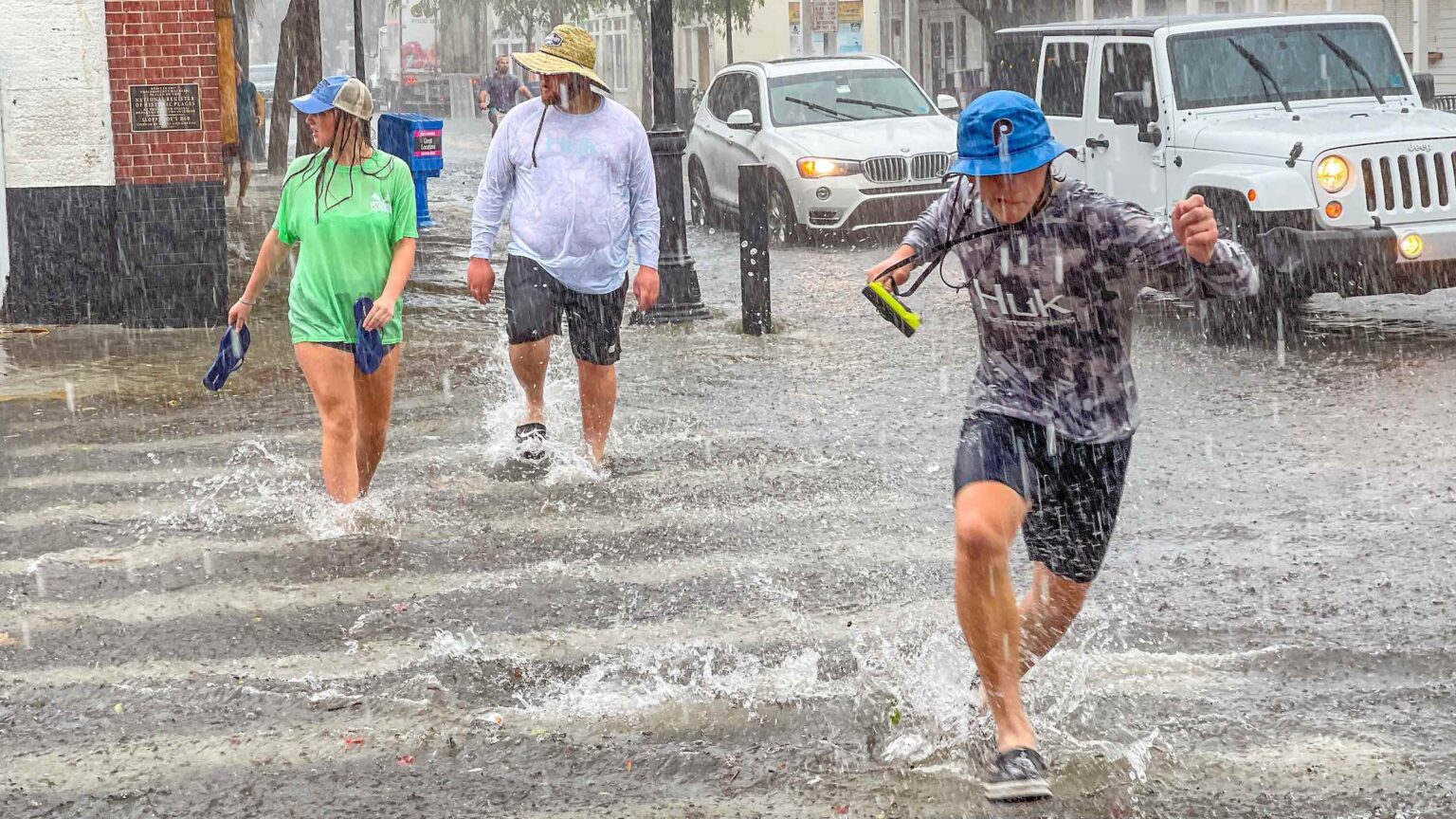Tropical Storm Elsa has made landfall on the Gulf Coast of Florida this morning. Grab your storm essentials and dive into these Twitter reactions. 