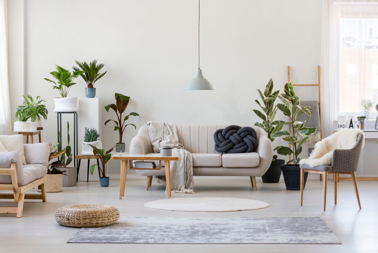 Lifestyle and home stores are more popular than ever these days. Here are some tips on which stores are trending and which deals to look for.