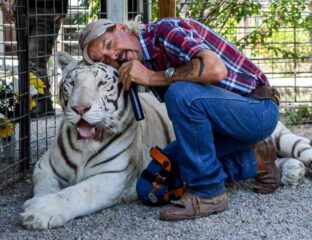 'Tiger King' star Joe Exotic is set to be re-sentenced in the murder-for-hire plot against Carole Baskin. Find out if he can be released.