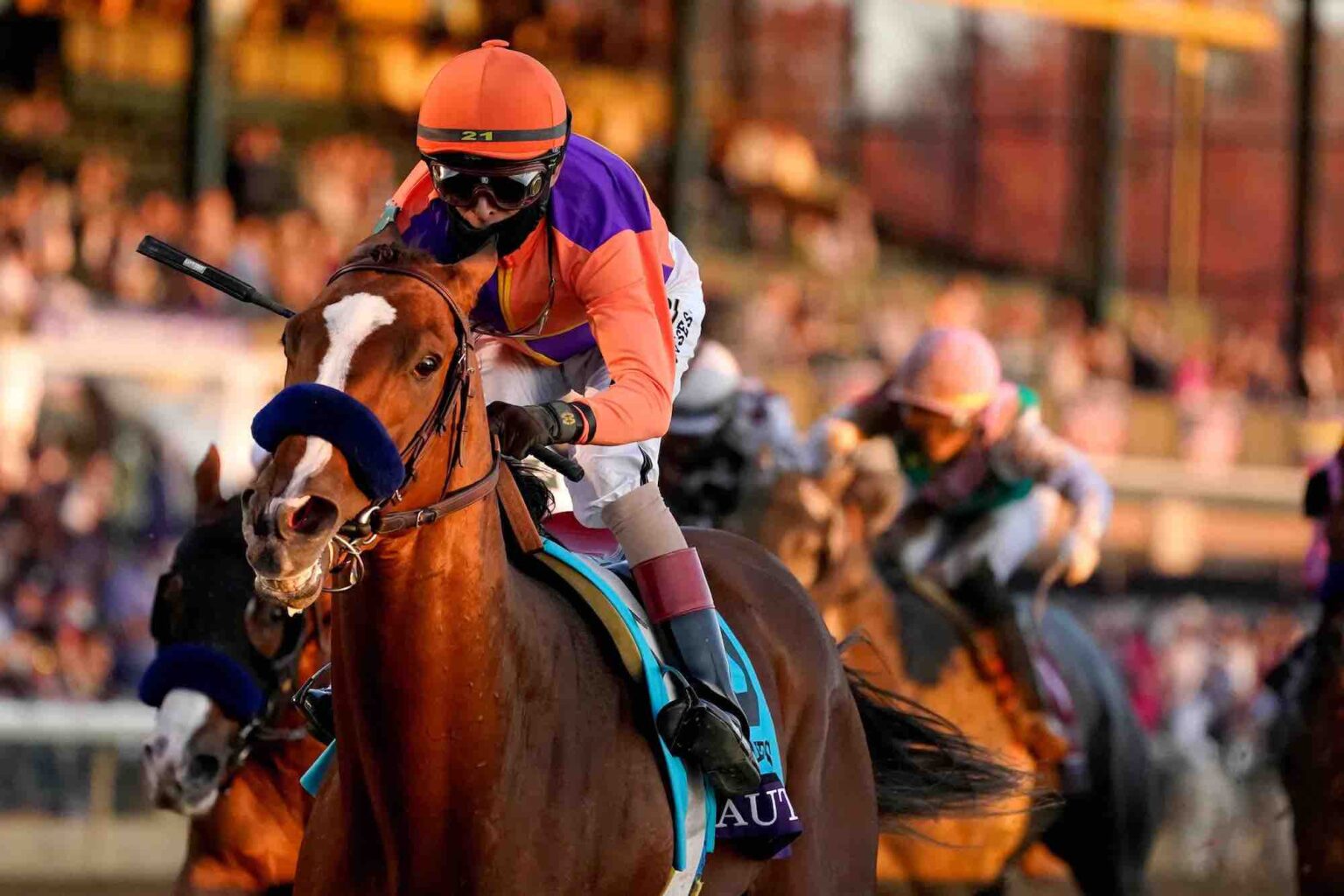 The Breeder's Cup is one of the biggest and most exciting horse racing events of 2021. Get the scoop on everything you can do while attending the race.