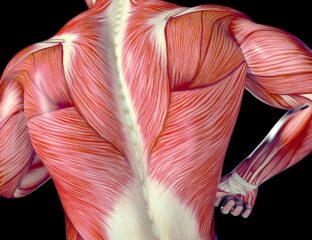 Most people don't know what fascia is, but keeping it healthy can really improve your life. Start feeling great and learn about fascia health today.
