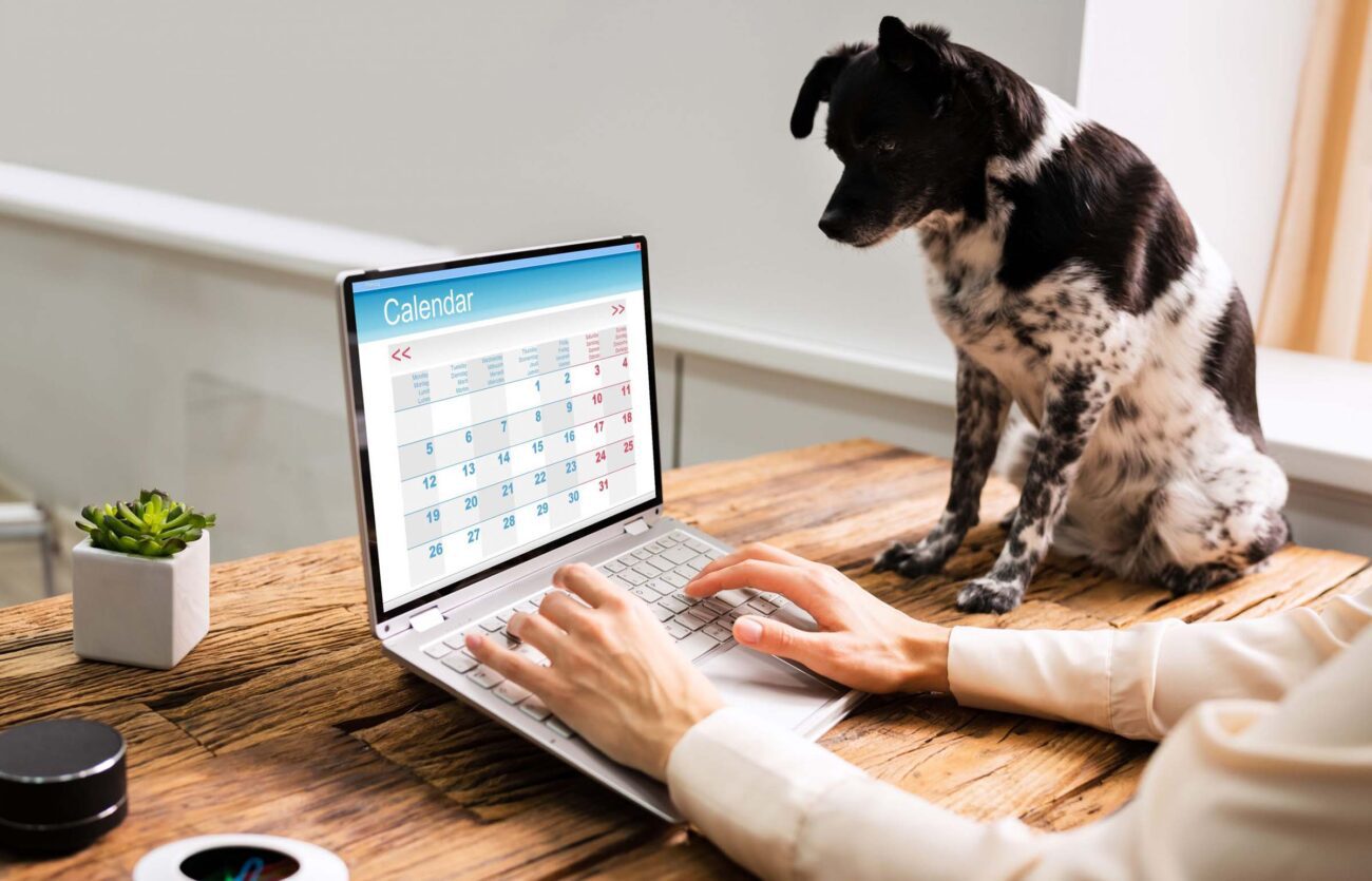 Are you looking for ways to enhance your pet business? Take a look at these fantastic investments that can help grow your business and increase sales!