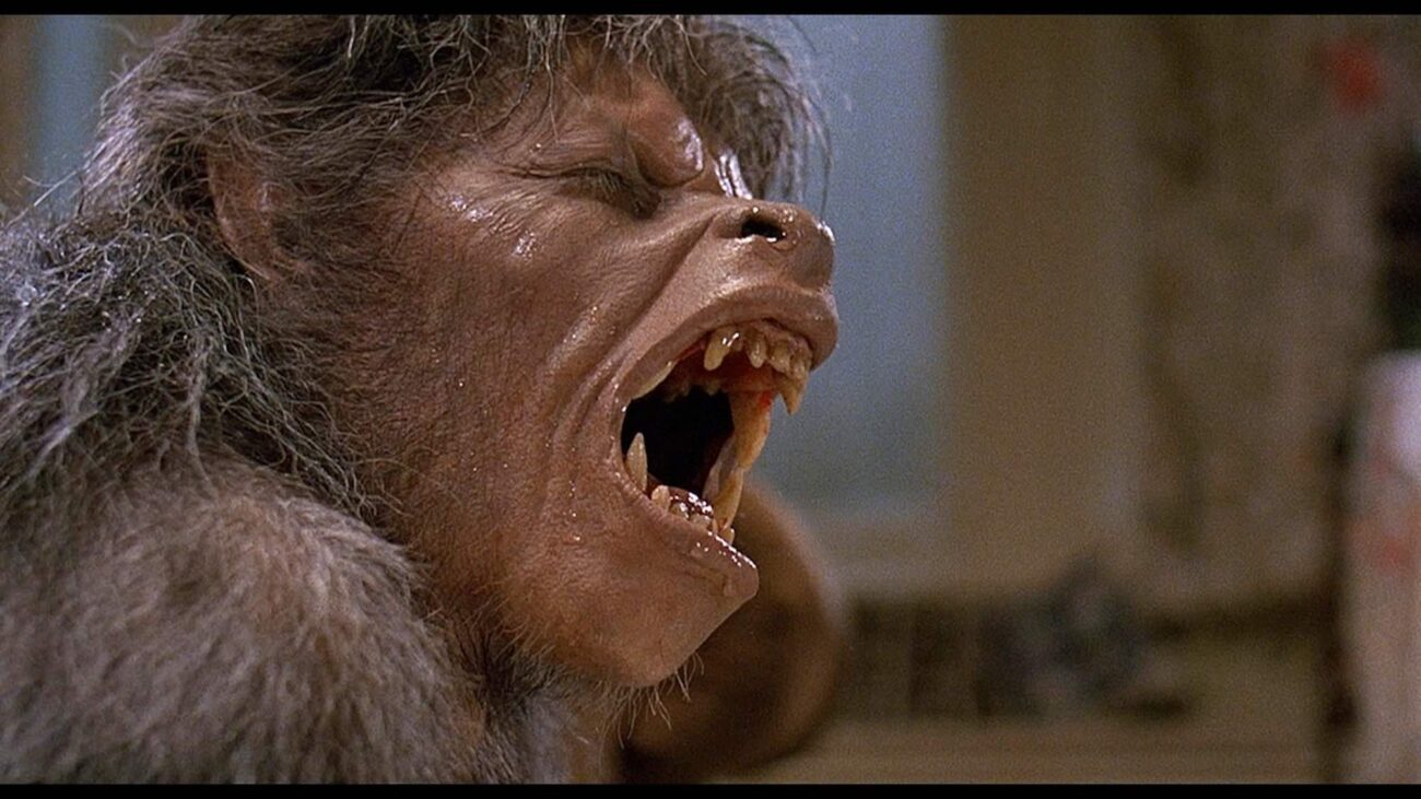 Halloween is around the corner, and that means it's time for werewolf movies! Uncover our list of horrific transformations, and choose the scariest movie.