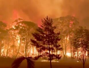 Sandrine Charruyer & Sophie Lepowic outline the climate crisis in Australia with 'Inferno Without Borders'. Get inspired to get involved in the fight.