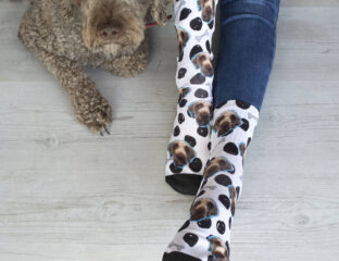 When buying custom socks, the quality and price of the socks must be taken into account. Check out these custom pet socks.