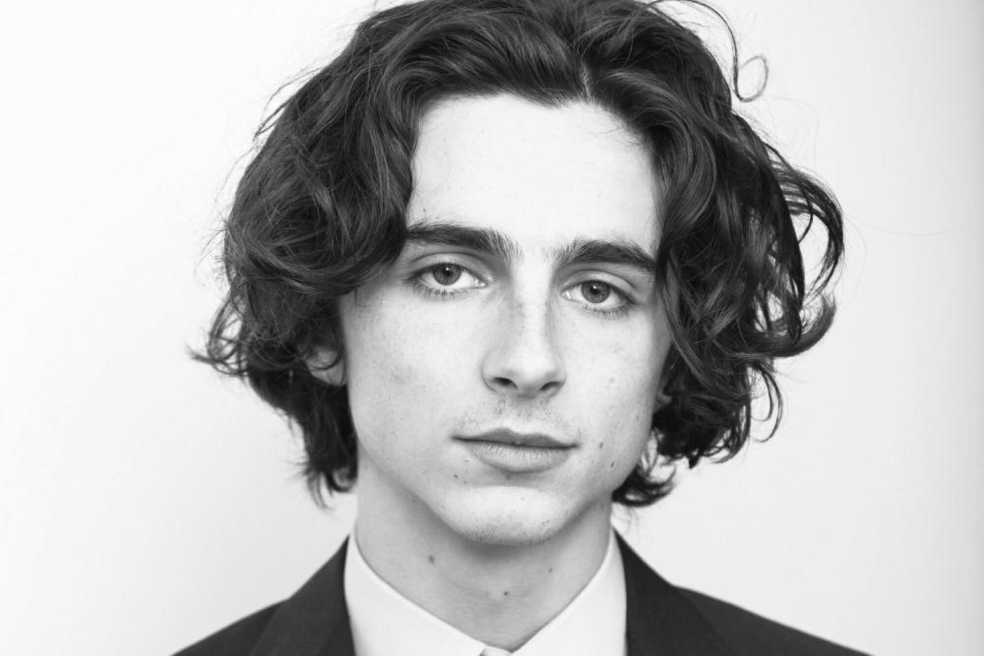 Why are people simping over Timothée Chalamet in this movie? – Film Daily