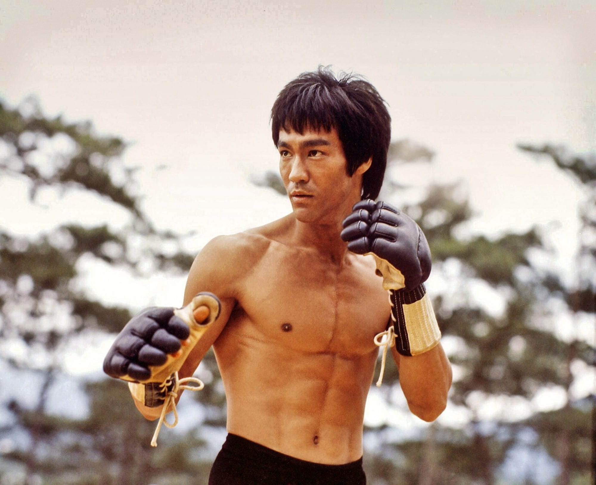 Was a terrible curse the *true* cause of Bruce Lee's death? – Film Daily