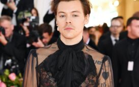 Harry Styles is known for pushing boundaries with his androgynous fashion, but is it all an act? Could he just be profiting off of the gay community?