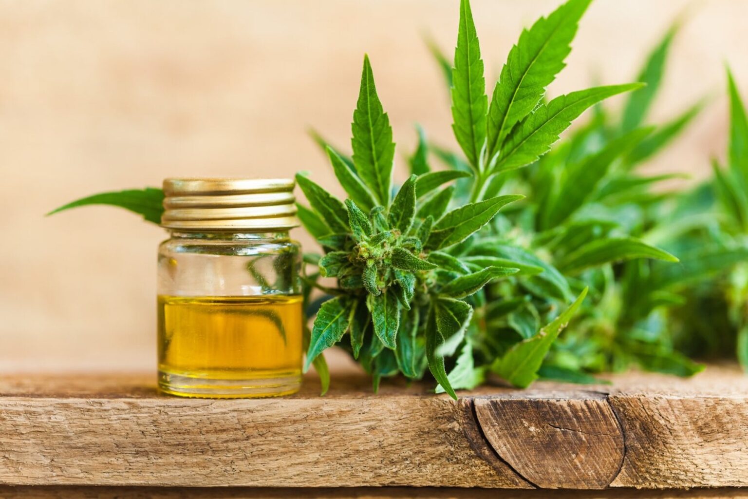 Since hemp was legalized, you're able to buy high-quality CBD oils and other products with countless health benefits. Check out which is right for you!