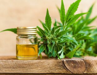 Since hemp was legalized, you're able to buy high-quality CBD oils and other products with countless health benefits. Check out which is right for you!