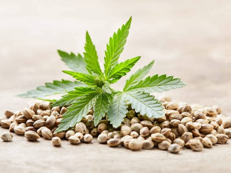 Looking for reliable marijuana products online? Check out our tips for buying cannabis seeds from reputable and safe online retailers.