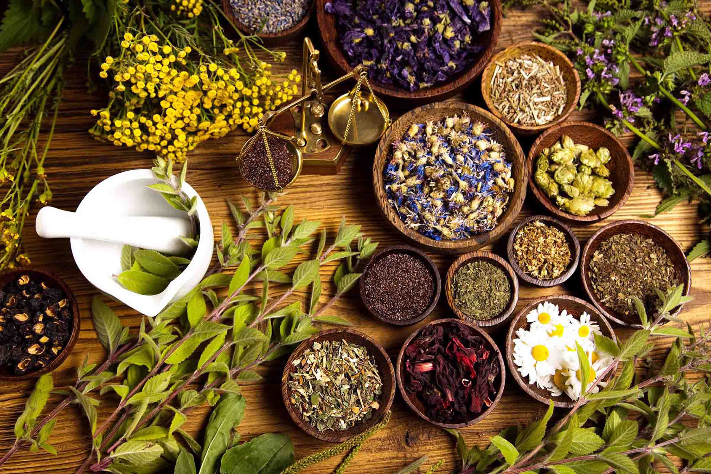 Many plants are often referred to as "herbal medicine". Dive into the details of what Dr Ryan Shelton thinks about the efficacy of herbal medicine.