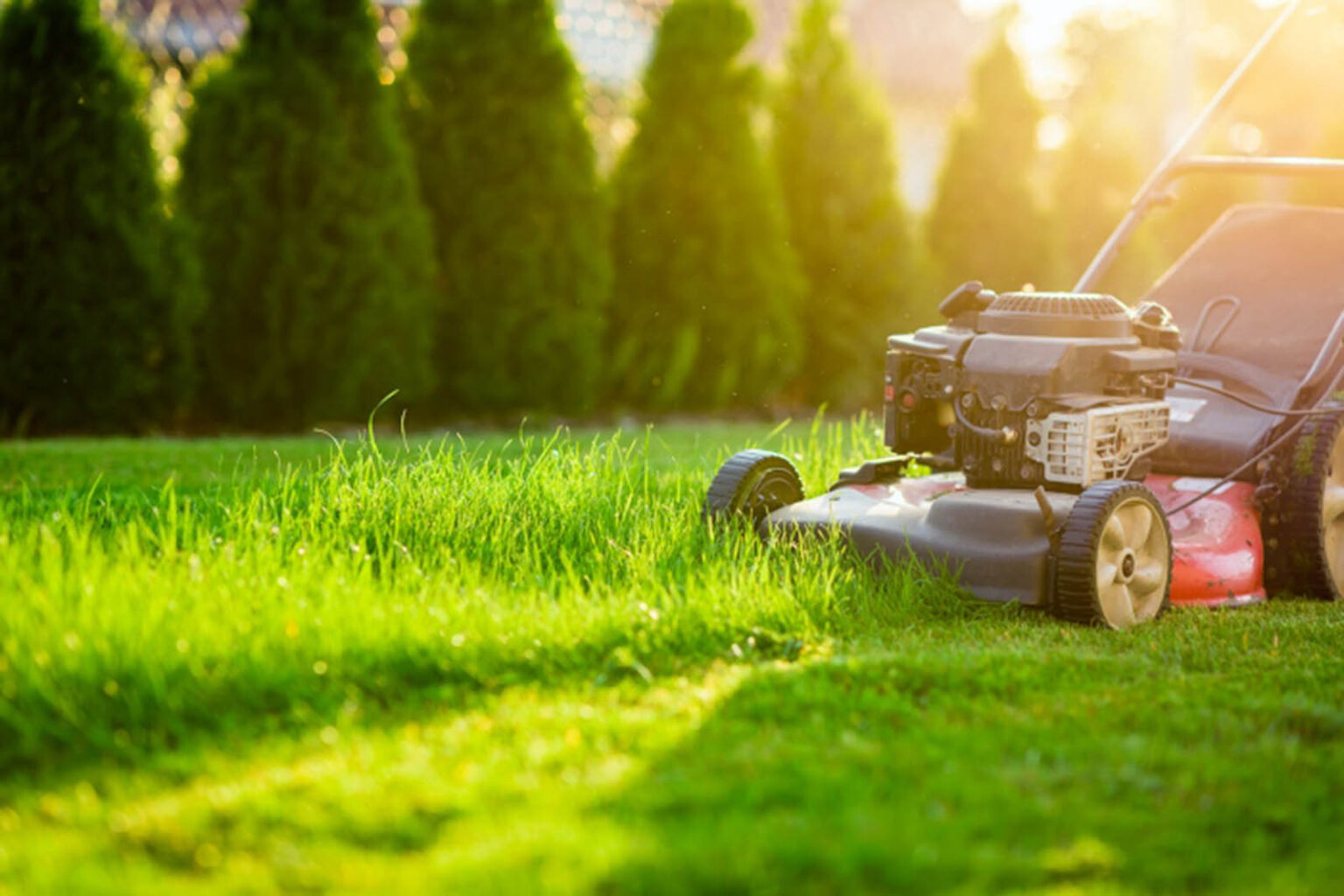 Are you considering investing in a lawn care maintenance company? Learn the facts about this potentially great investment opportunity!