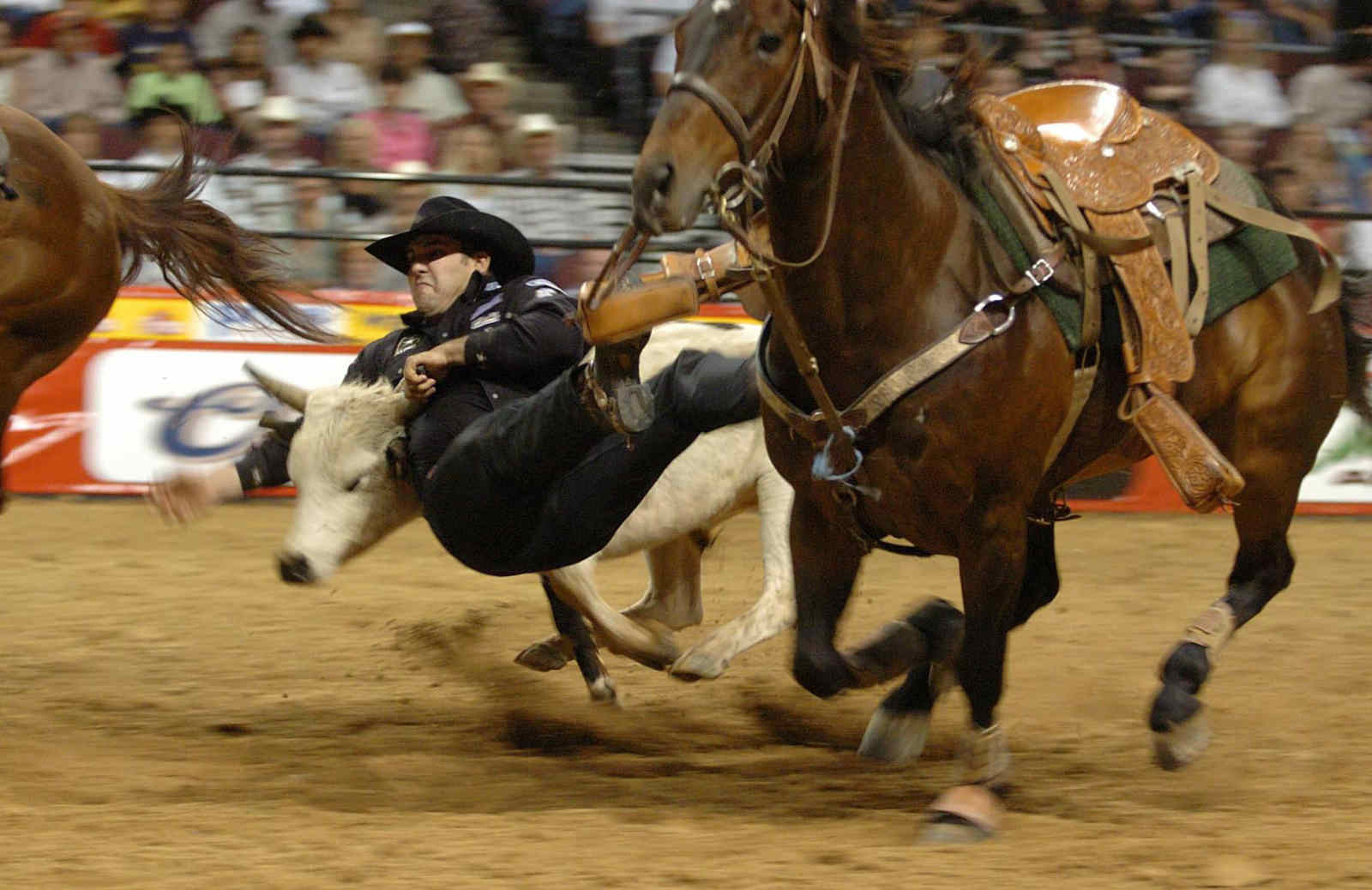 nfr rodeo free