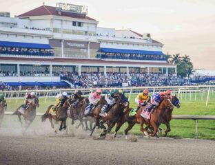 The Pegasus World Cup is one of the most important events in the horseracing calendar! Learn all about this incredible event here!