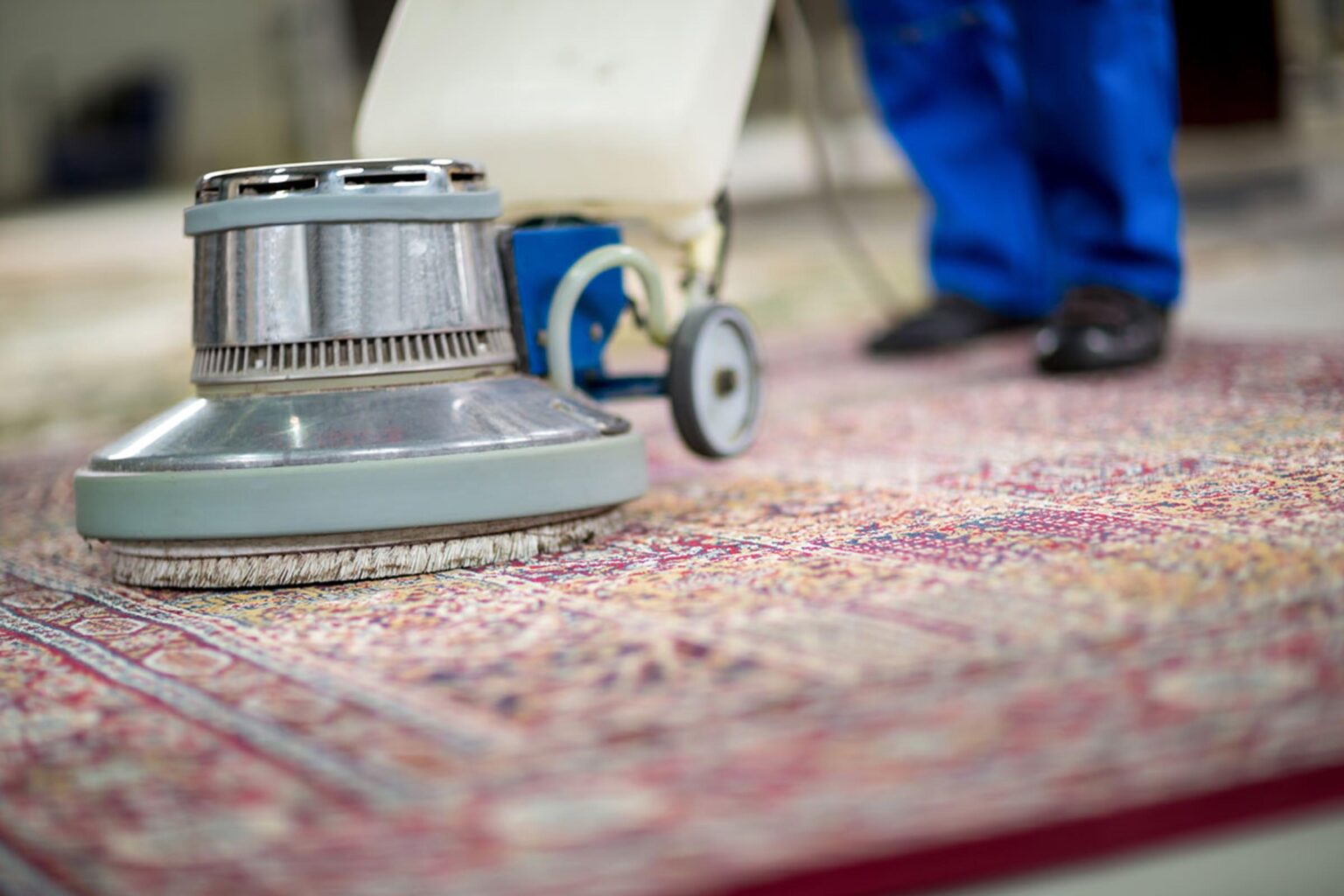 Looking to clean your dirty rugs before the holidays? Learn the facts about how professional cleaning services can help with your soiled rugs!