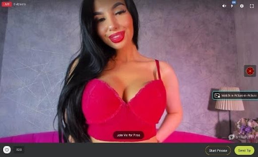 Best webcam models on Stripchat