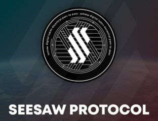 Seesaw Protocol is just beginning to break into the cryptosphere, offering an excellent opportunity to buy from the ground up before the next gold rush.