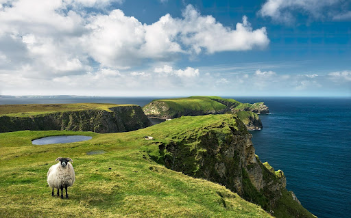 Trips to Ireland come with tons of exciting possibilities. Here's a list of activities to consider during your trip.
