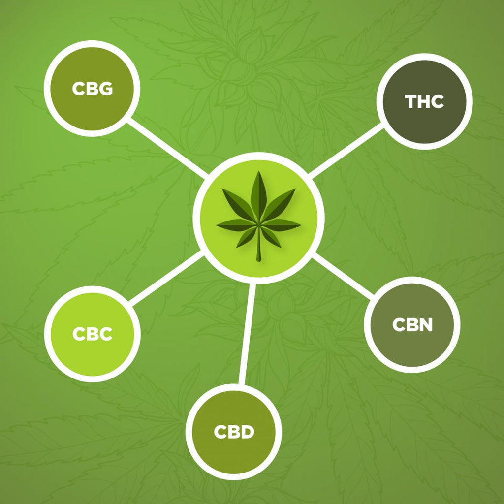 This post will explain the differences between CBC and CBD isolates and assist you to leave with a greater ability to understand these cannabinoids.