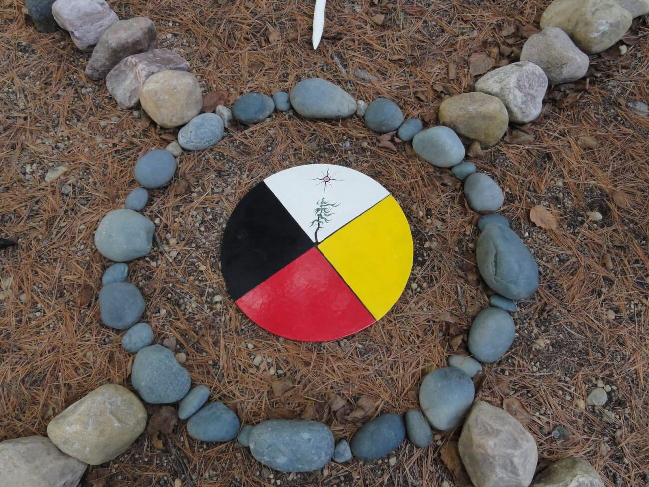 Indigenous communities have been using a medicine wheel for several thousand years. Find out how your overall wellbeing can benefit from the medicine wheel.
