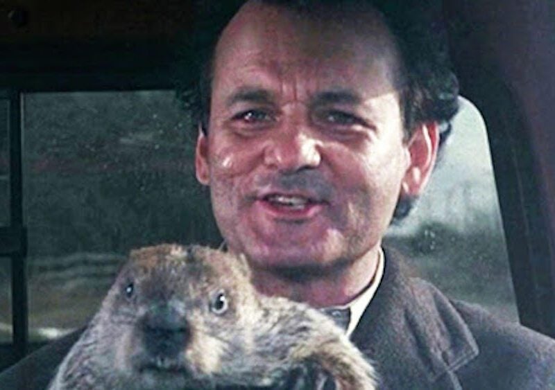 The beginning of February is here, which means only one thing: It's time to watch 'Groundhog Day' online. Here's how.