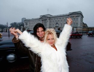 A pair that gets married after days of knowing each other is not likely to last. What caused Tommy Lee and Pamela Anderson to split?