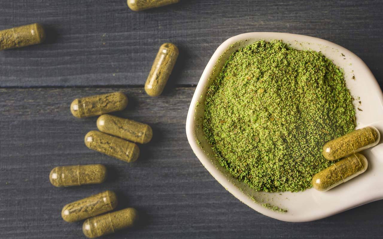 Traditionally, Kratom was used to relieve aches and pains and provide energy in Southeast Asia. Here's everything you need to know about Kratom.