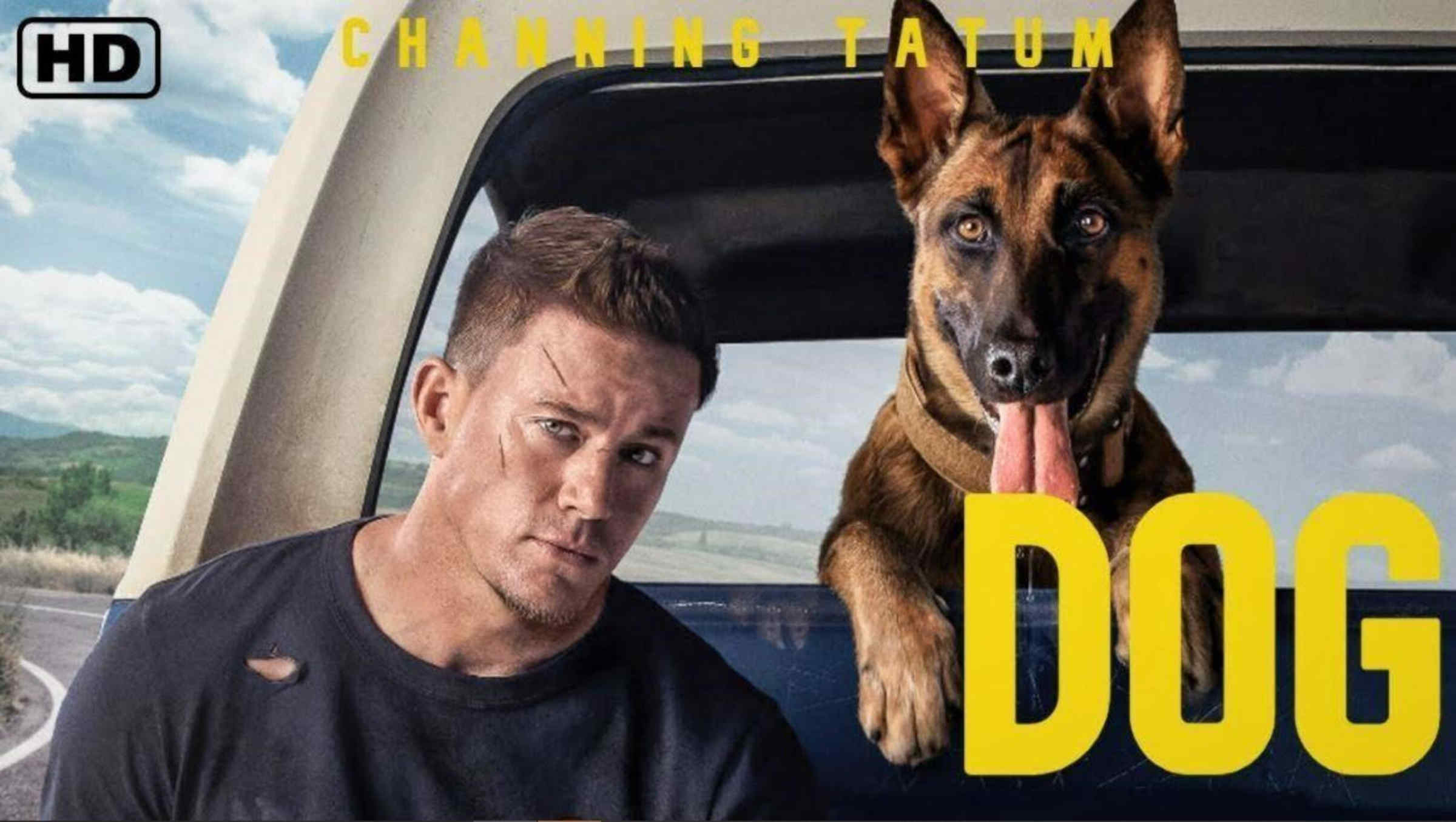 Watch ‘Dog’ (2022) Free online streaming At home – Film Daily