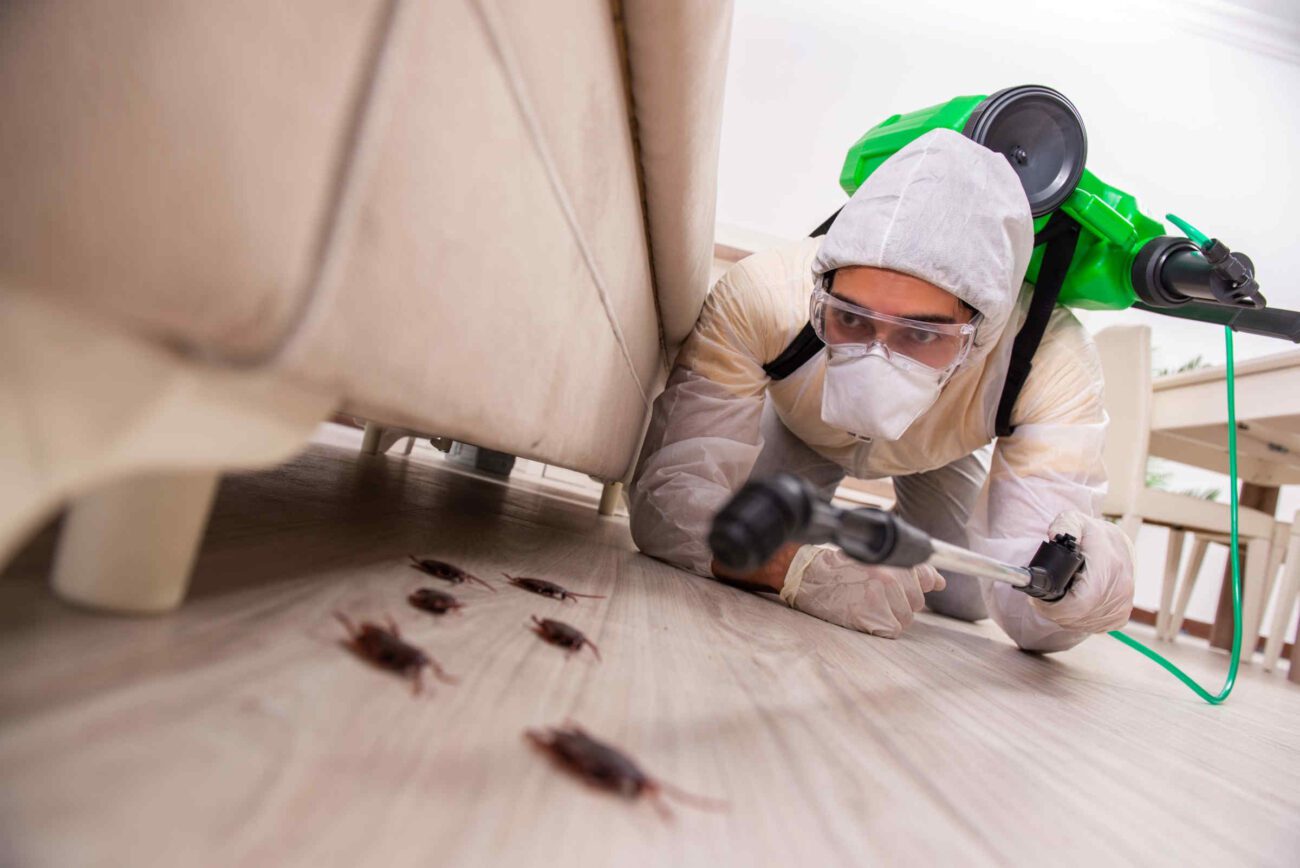 Hiring a professional pest control team can help mitigate health hazards caused by pests, especially when living in Jackson, Mississippi.