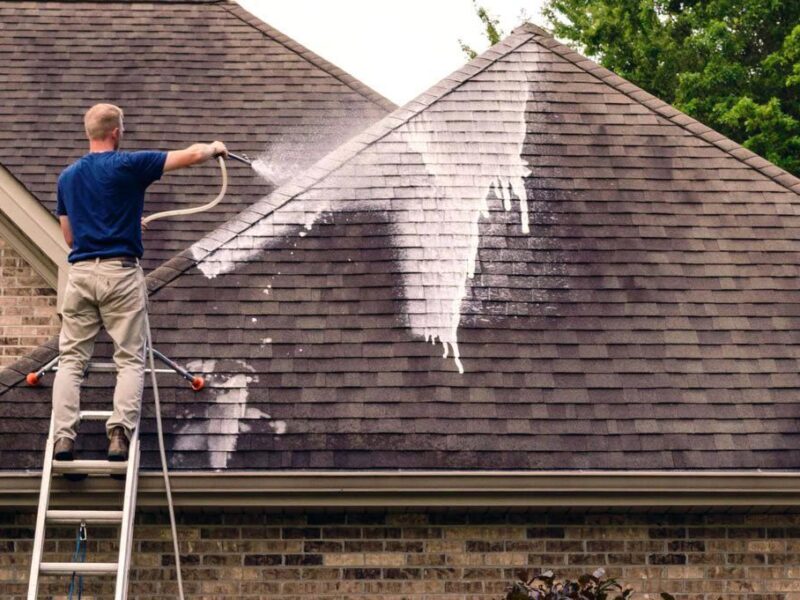 There are several things to keep in mind while searching for the best soft wash roof cleaning company for your needs. Here are all the tips you need.