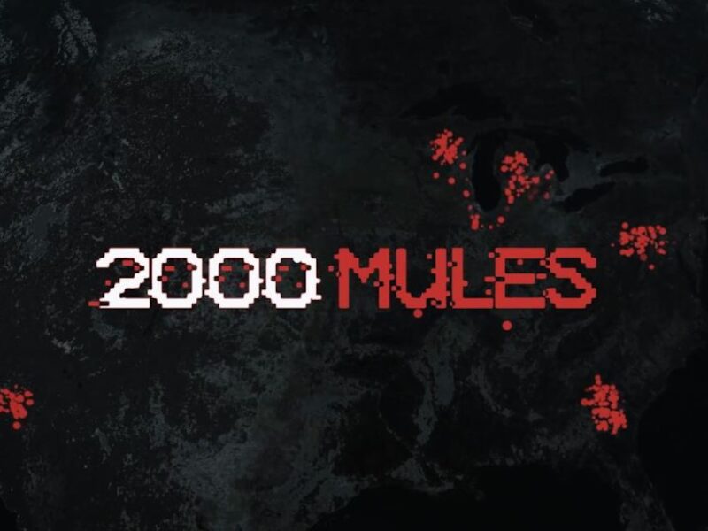 '2000 Mules' is finally here. Find out how to stream anticipated Documentary Movie 2000 Miles online for free.